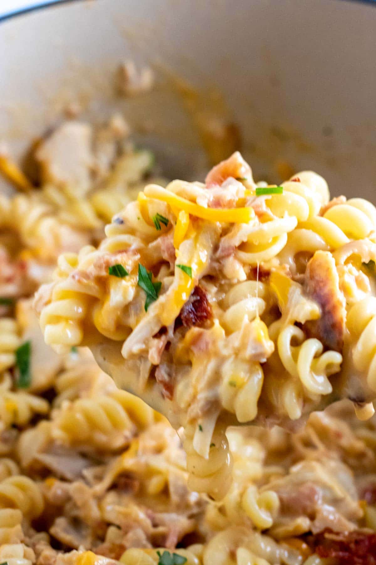 Chicken Bacon Ranch Pasta (One Pot)