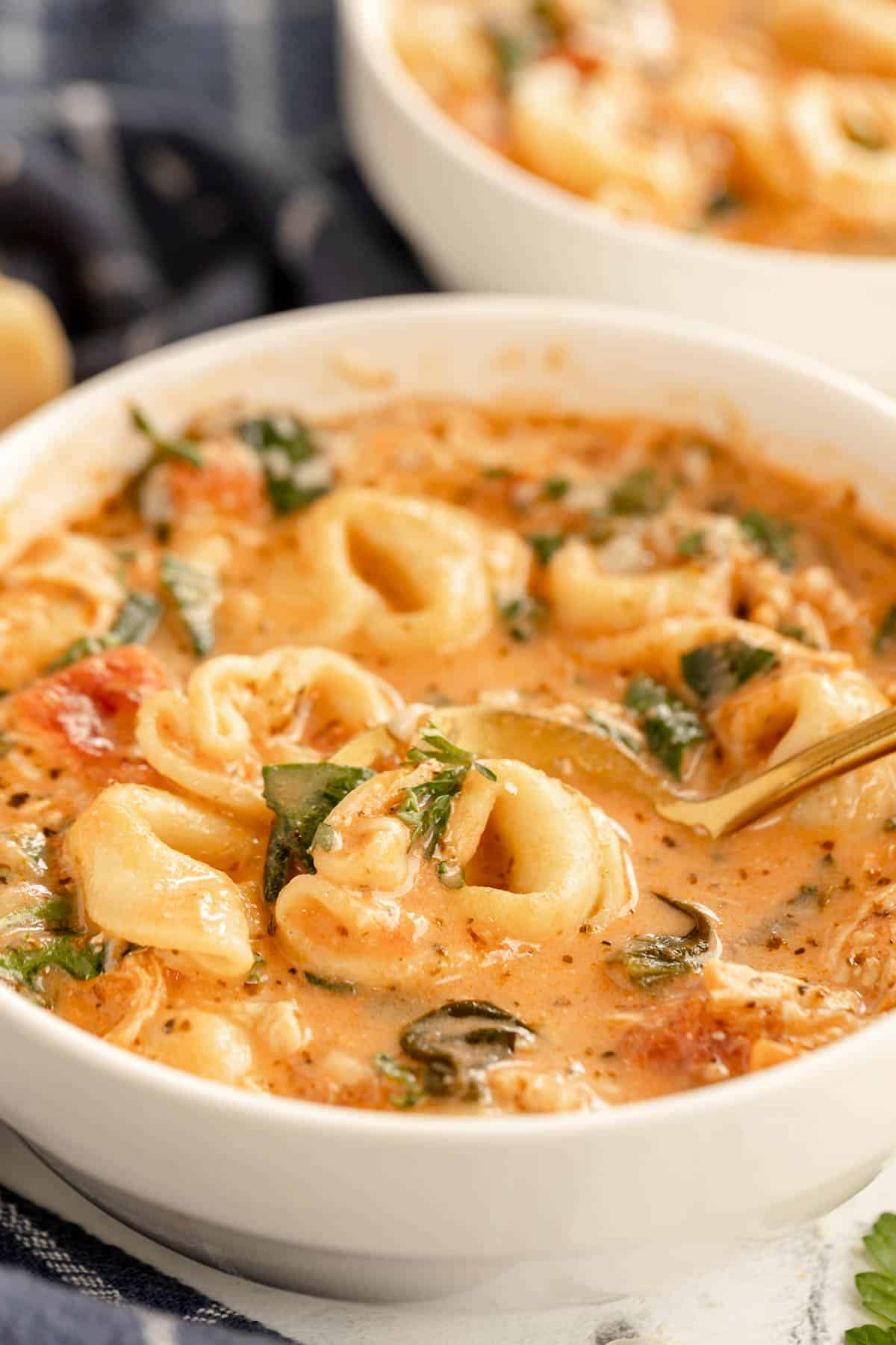 Creamy Chicken Tortellini Soup