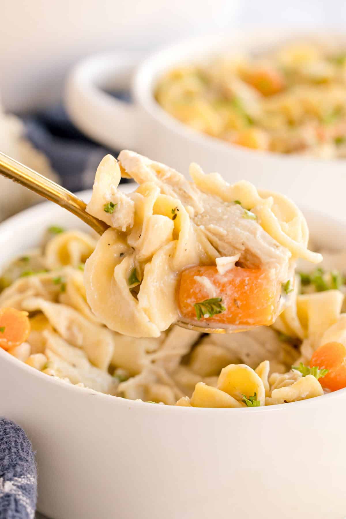 Crockpot Chicken and Noodles