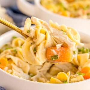 A spoonful of creamy chicken, noodles, and carrots lifted from a bowl.