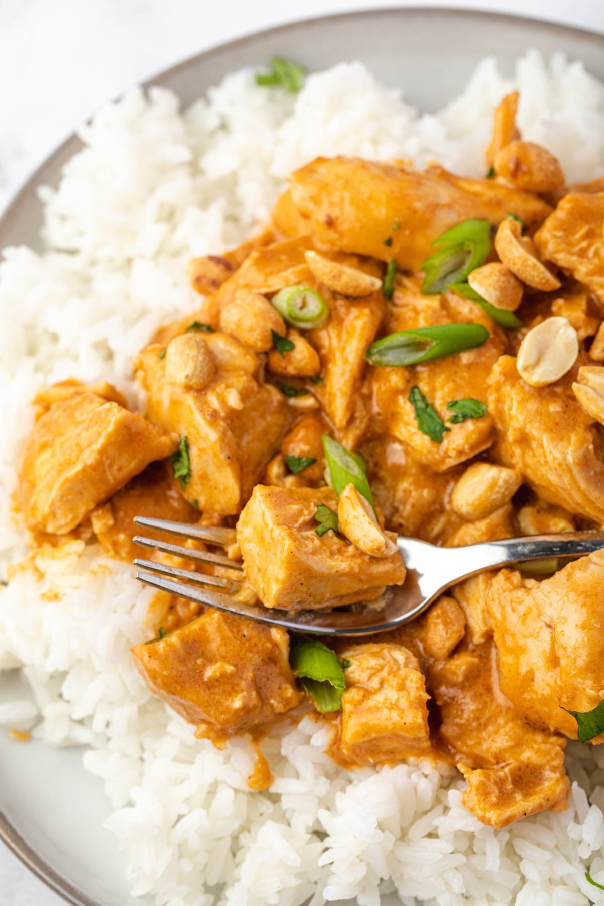 Slow Cooker Chicken Curry