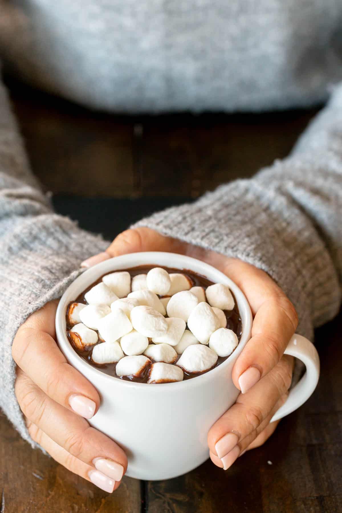 Easy Crockpot Hot Chocolate Recipe