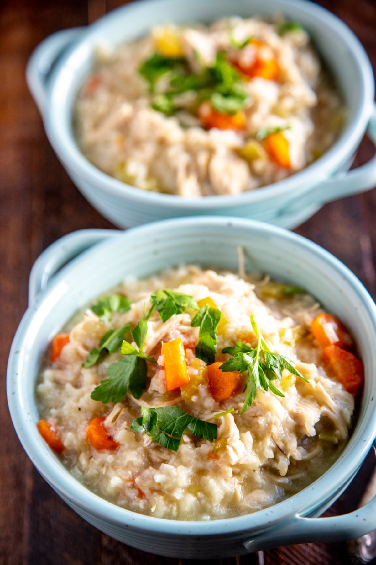 Instant Pot Chicken & Rice (30 min recipe)
