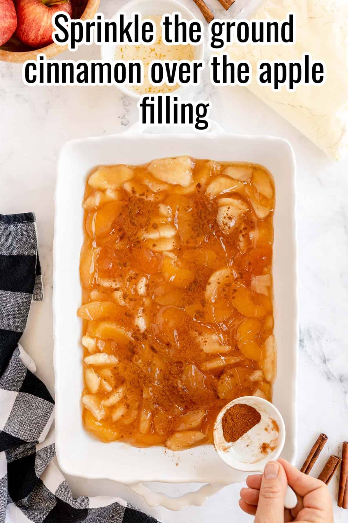 The ground cinnamon is sprinkled over the Apple filling for the Dump Cake.