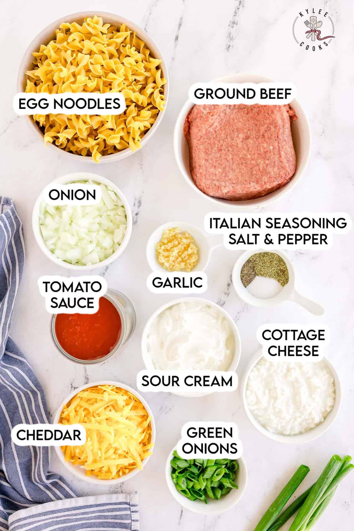 Ingredients for the dish arranged in bowls, each labeled: egg noodles, ground beef, onion, garlic, tomato sauce, sour cream, cottage cheese, Italian seasoning with salt and pepper, cheddar, and green onions.
