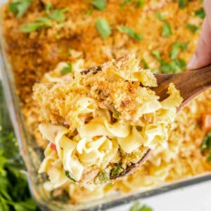 A wooden spoon holds a serving of baked noodle casserole with breadcrumbs above a glass baking dish.