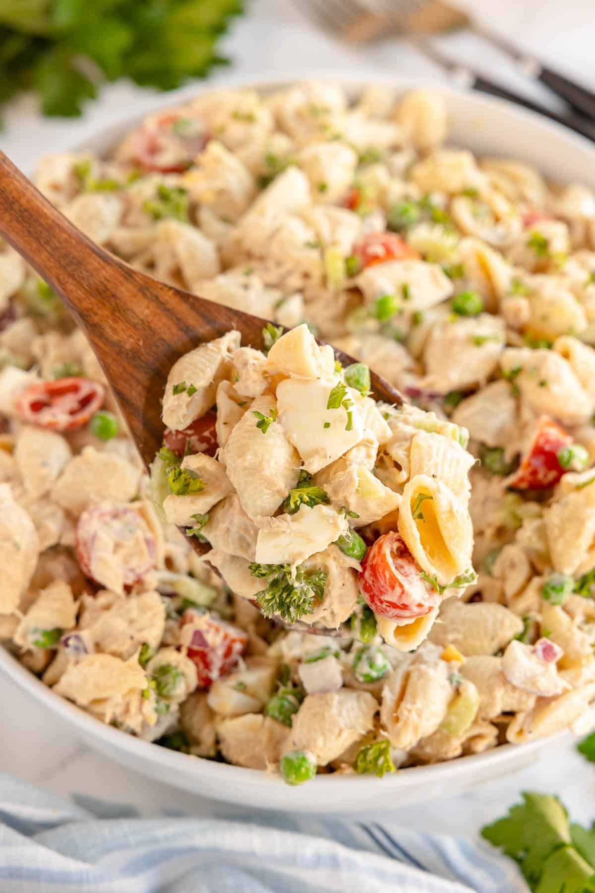 Creamy Tuna Pasta Salad