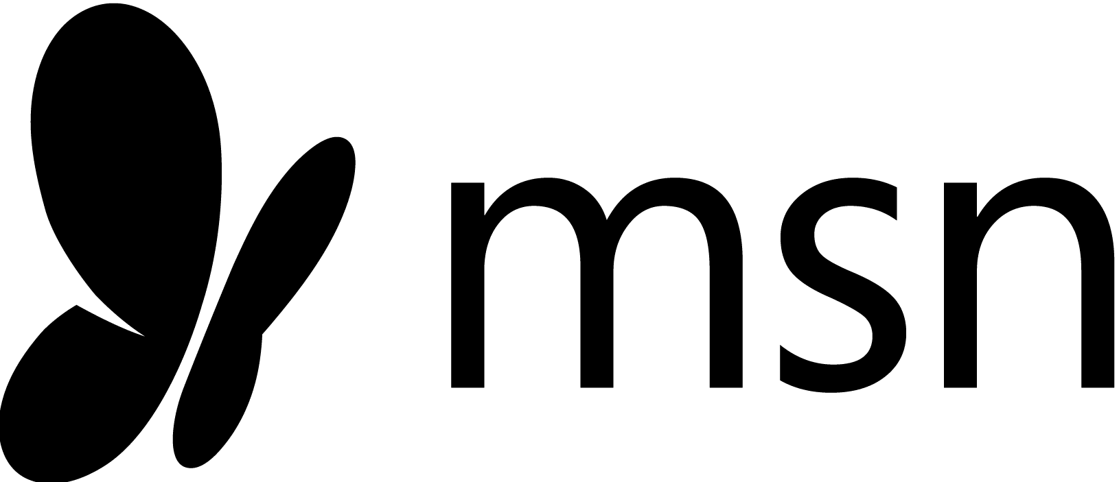 the word "msn" in black text.